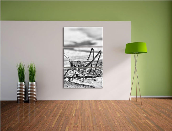 Pixxprint Elegante Heuschrecke als Leinwandbild/Grösse: 3 Teilig (120x80) cm/Wandbild/Kunstdruck/fer