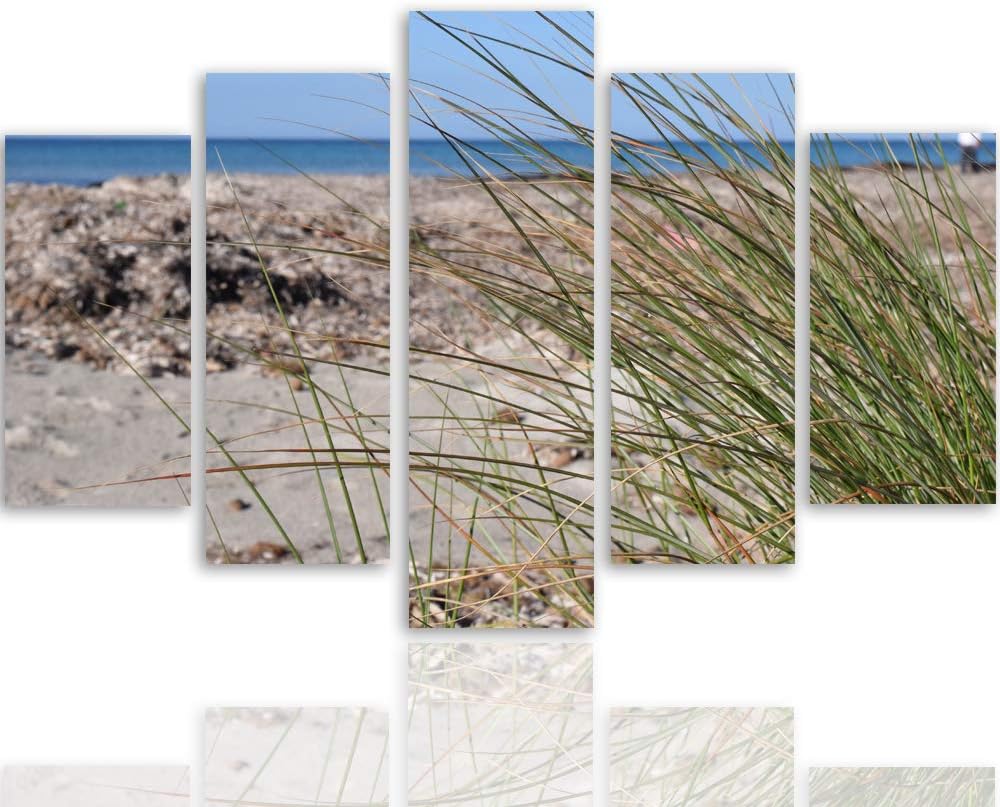 Bilder 5 Teilig Landschaft Deco Panel Kunst Natur Gras Strand Meer braun 100x70 cm Deco panel 100x70