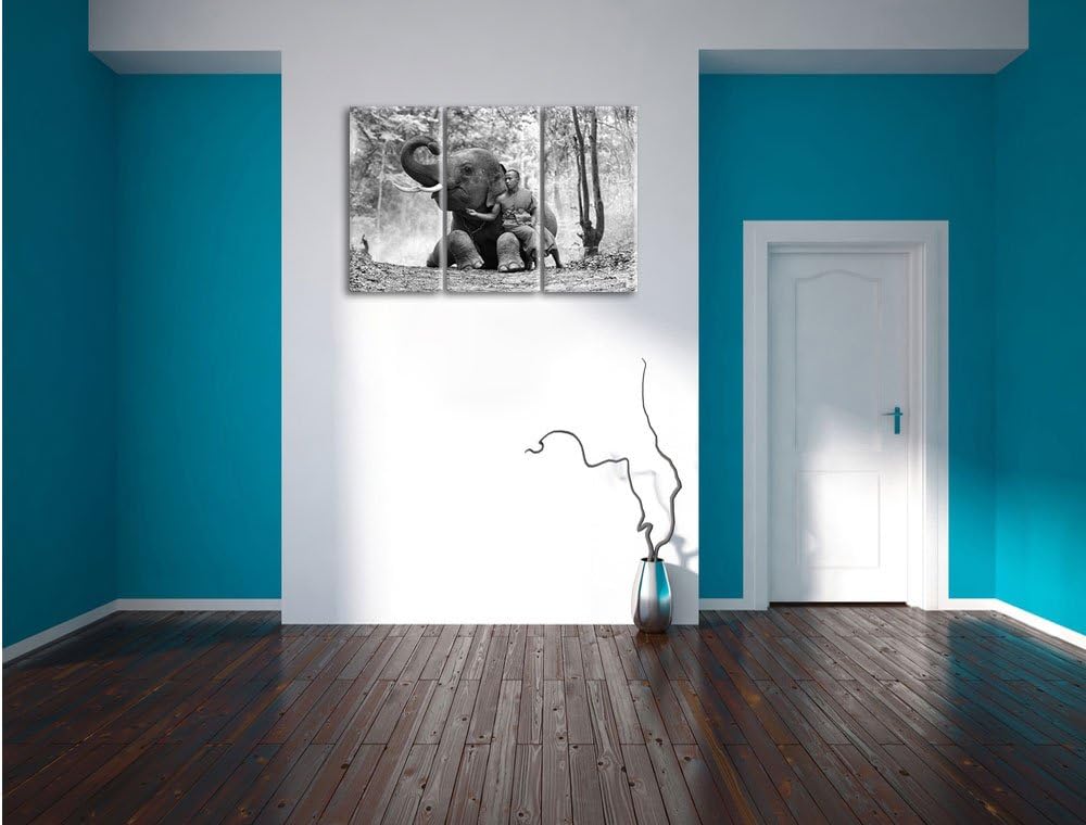 Pixxprint Mönch mit Elefanten im Wald / 3-Teilig/Gesamtmass 120cm Leinwandbild bespannt auf Holzrahm