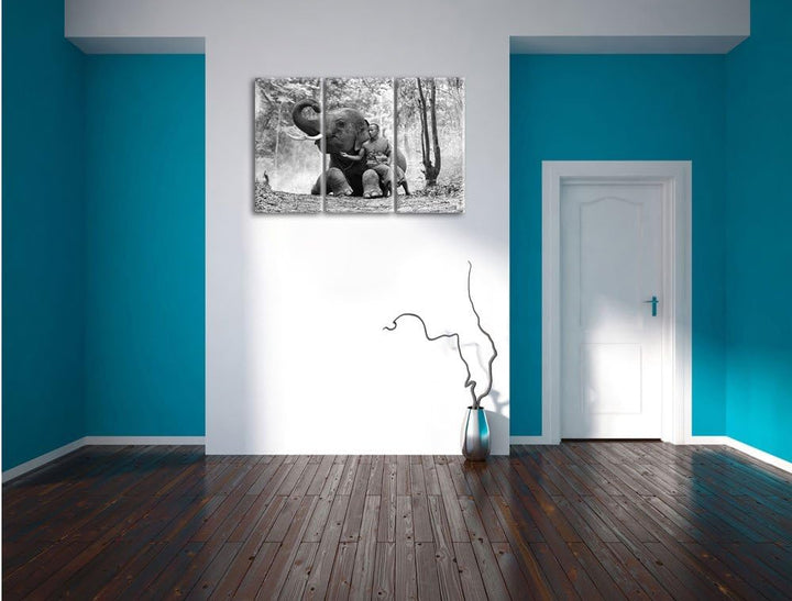 Pixxprint Mönch mit Elefanten im Wald / 3-Teilig/Gesamtmass 120cm Leinwandbild bespannt auf Holzrahm