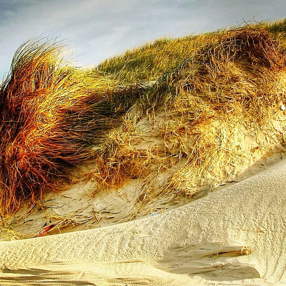 Bilder 5 Teilig Landschaft Deco Panel Kunst Strand Sand Himmel orange 100x70 cm Deco panel 100x70 cm