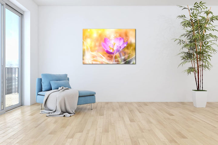 deyoli blühender frühlings Krokus Format: 80x60 als Leinwandbild, Motiv fertig gerahmt auf Echtholzr