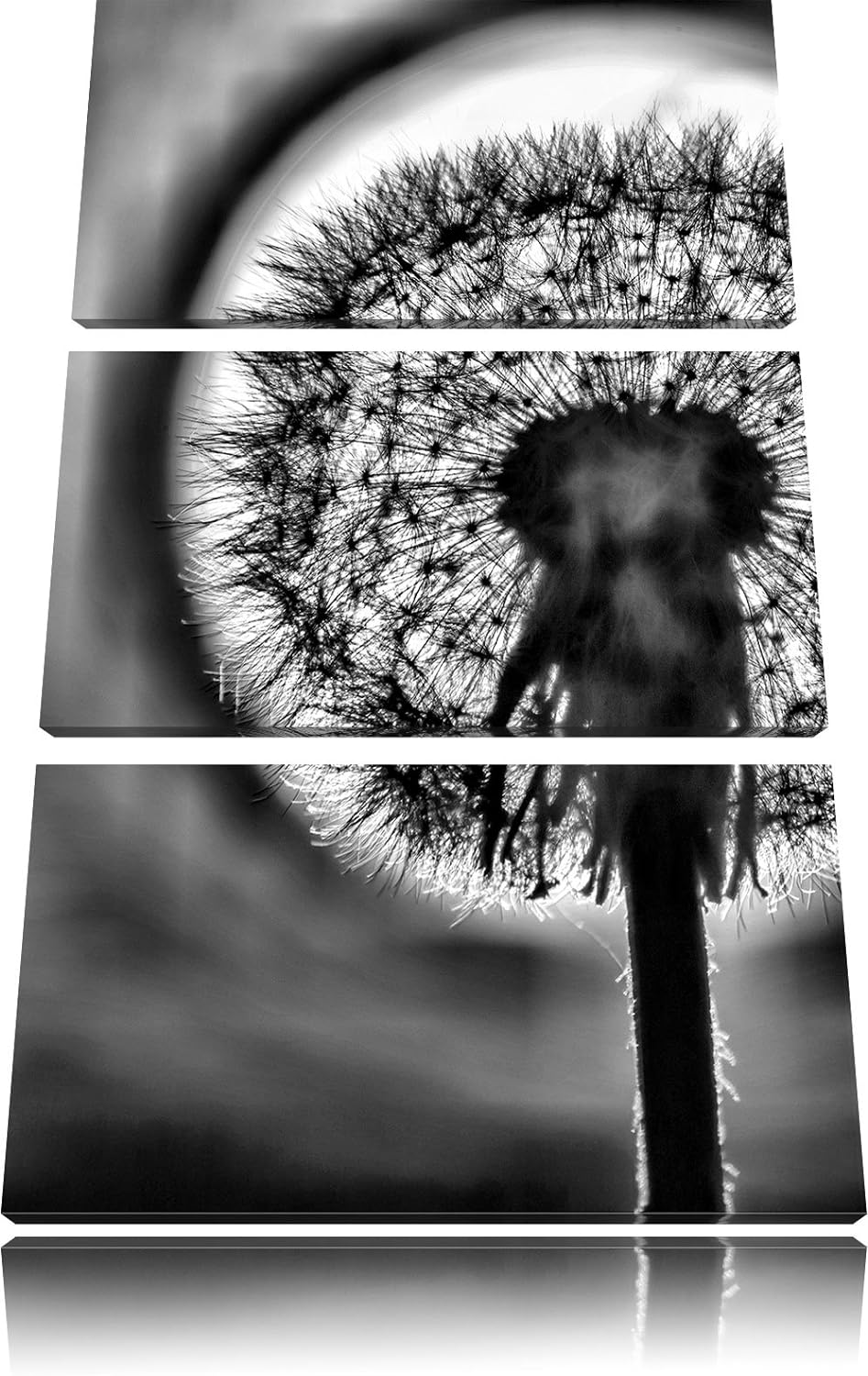 Pixxprint Pusteblume als Leinwandbild/Grösse: 3 Teilig (120x80) cm/Wandbild/Kunstdruck/fertig bespan