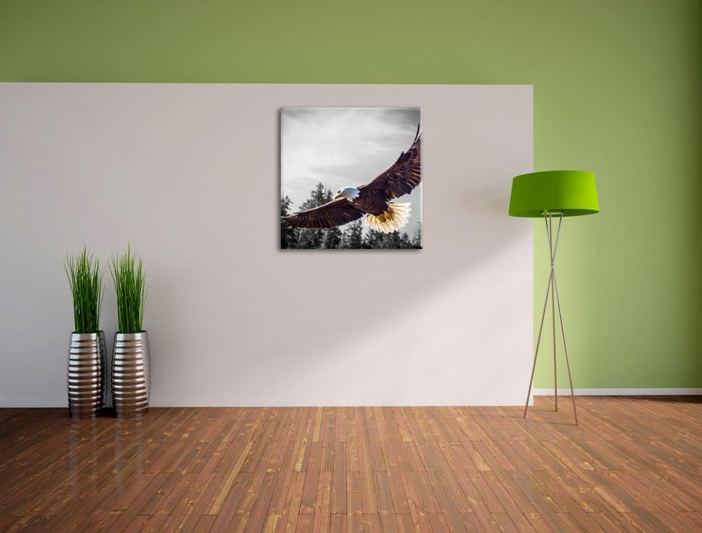 Pixxprint grosser Fliegender Adler als Leinwandbild/Grösse: 70x70 cm/Wandbild/Kunstdruck/fertig besp