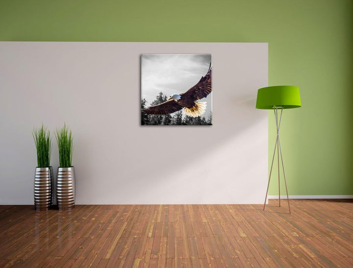 Pixxprint grosser Fliegender Adler als Leinwandbild/Grösse: 70x70 cm/Wandbild/Kunstdruck/fertig besp