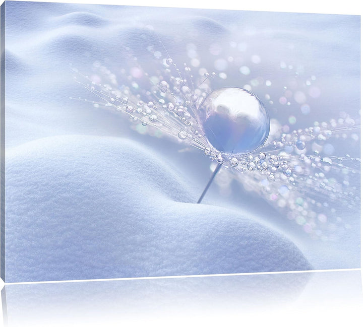 Pixxprint Tautropfen auf Einer Pusteblume im Schnee, Format: 100x70 auf Leinwand, 100x70
