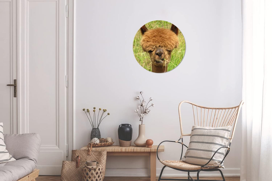 MuchoWow Wandbild Rund Wanddeko Deko Wohnzimmer Bilder 30x30 cm Alpaka - Gras - Haare, 30x30 cm