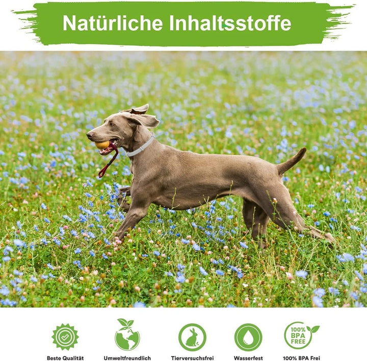 MC-Royal® Deluxe Zeckenhalsband für Hunde - 100% natürliche Inhaltsstoffe - bis zu 8 Monate zuverläs