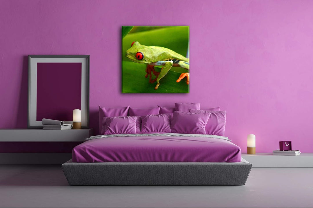deyoli Exotischer Grüner Frosch mit roten Augen Format: 70x70 als Leinwandbild, Motiv fertig gerahmt