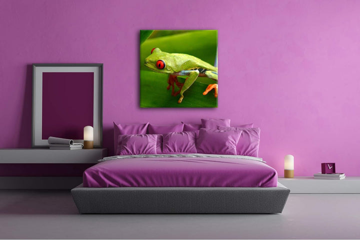 deyoli Exotischer Grüner Frosch mit roten Augen Format: 70x70 als Leinwandbild, Motiv fertig gerahmt