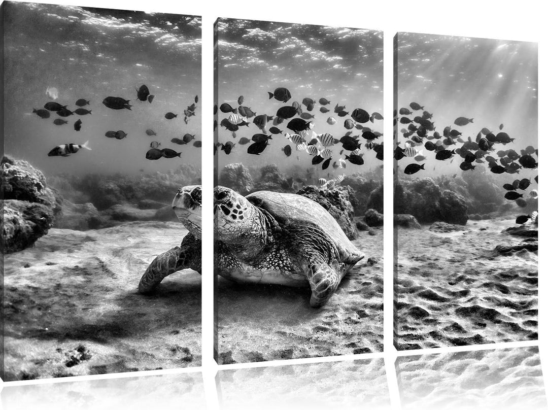 Pixxprint Ninja Turtles / 3-Teilig/Gesamtmass 120cm Leinwandbild bespannt auf Holzrahmen/Wandbild Ku