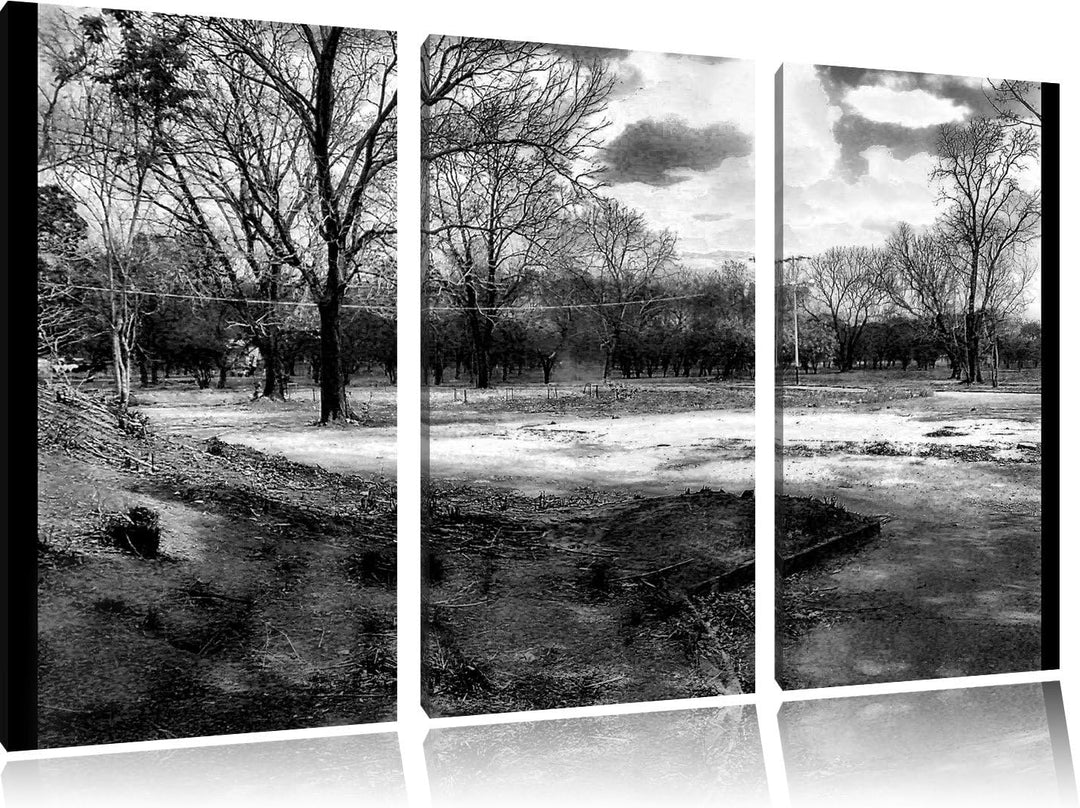 Pixxprint düstrer Wald als Leinwandbild/Grösse: 3 Teilig (120x80) cm/Wandbild/Kunstdruck/fertig besp
