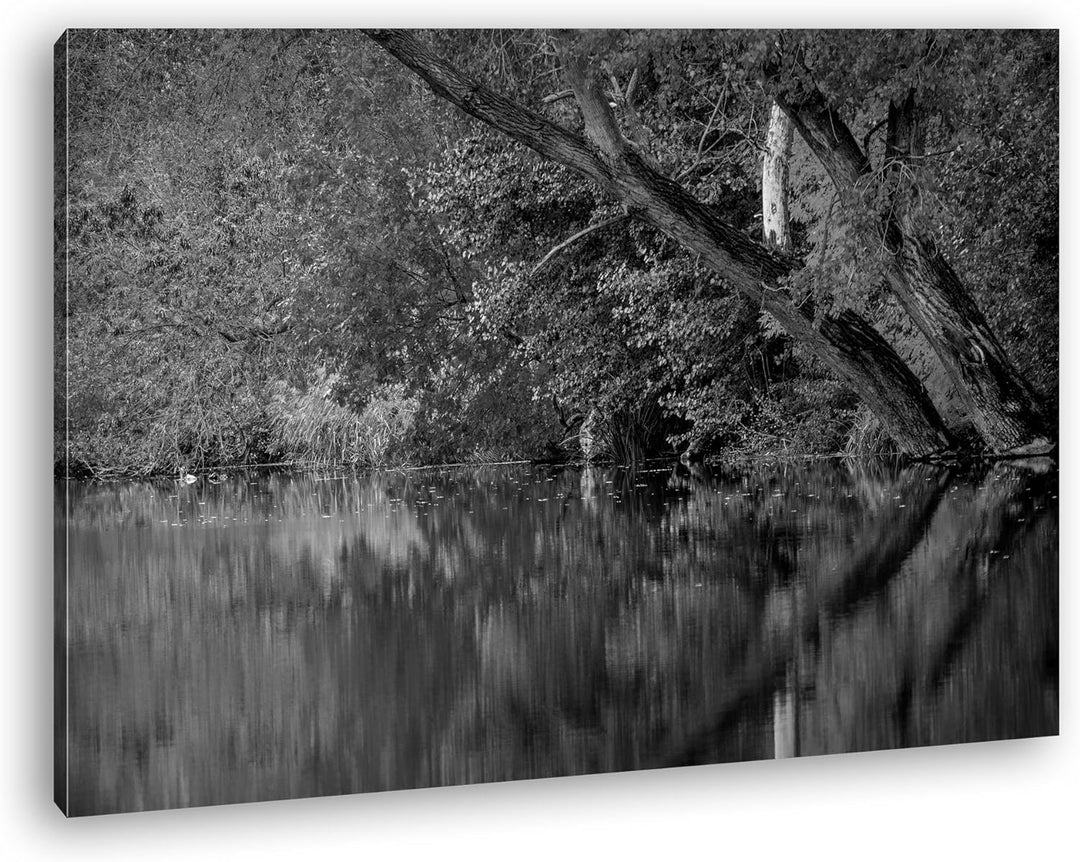 deyoli Bäume am Seeufer im Herbst Effekt: Schwarz/Weiss Format: 80x60 als Leinwand, Motiv fertig ger
