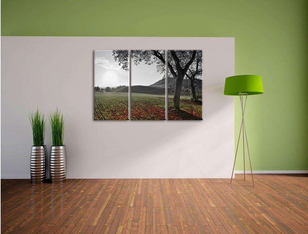 Pixxprint Landschaft im Herbst B&W Detail 3-Teiler Leinwandbild 120x80 Bild auf Leinwand