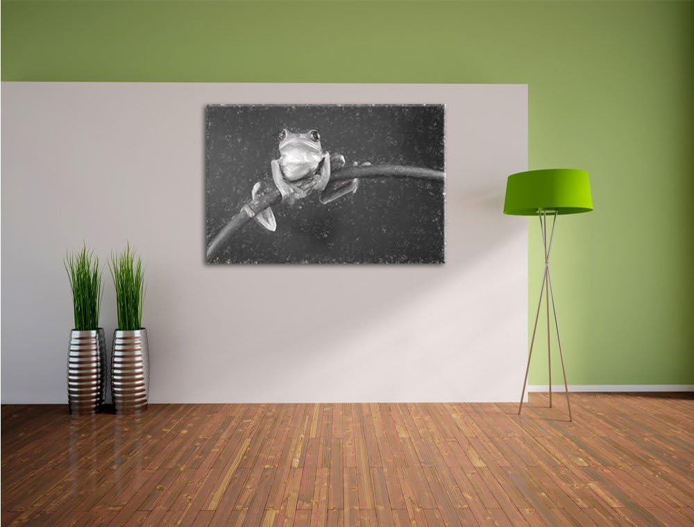 Pixxprint Baum-Frosch auf Bambus Kunst als Leinwandbild/Grösse: 100x70 / Wandbild/Kunstdruck/fertig