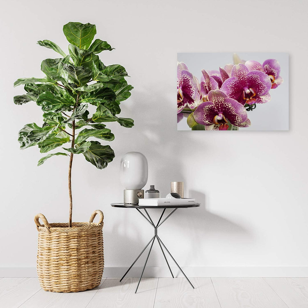 Feeby Bild auf Leinwand Orchideen Kunstdruck modern Natur Violett 80x60 cm Leinwandbild 80x60 cm Vio