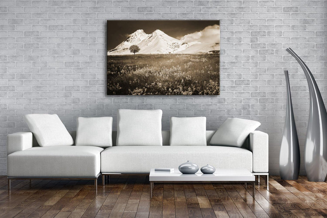 verführerisches Wiese vor denn eisigen Alpen Format: 80x60 Effekt: Sepia als Leinwandbild, Motiv fer