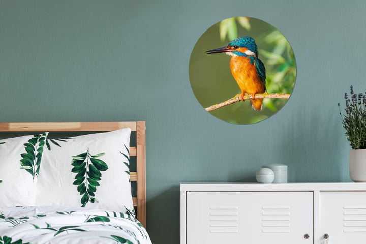 MuchoWow Wandbild Rund Wanddeko Deko Wohnzimmer Bilder 60x60 cm Vogel - Eisvogel - Zweig - Blätter -