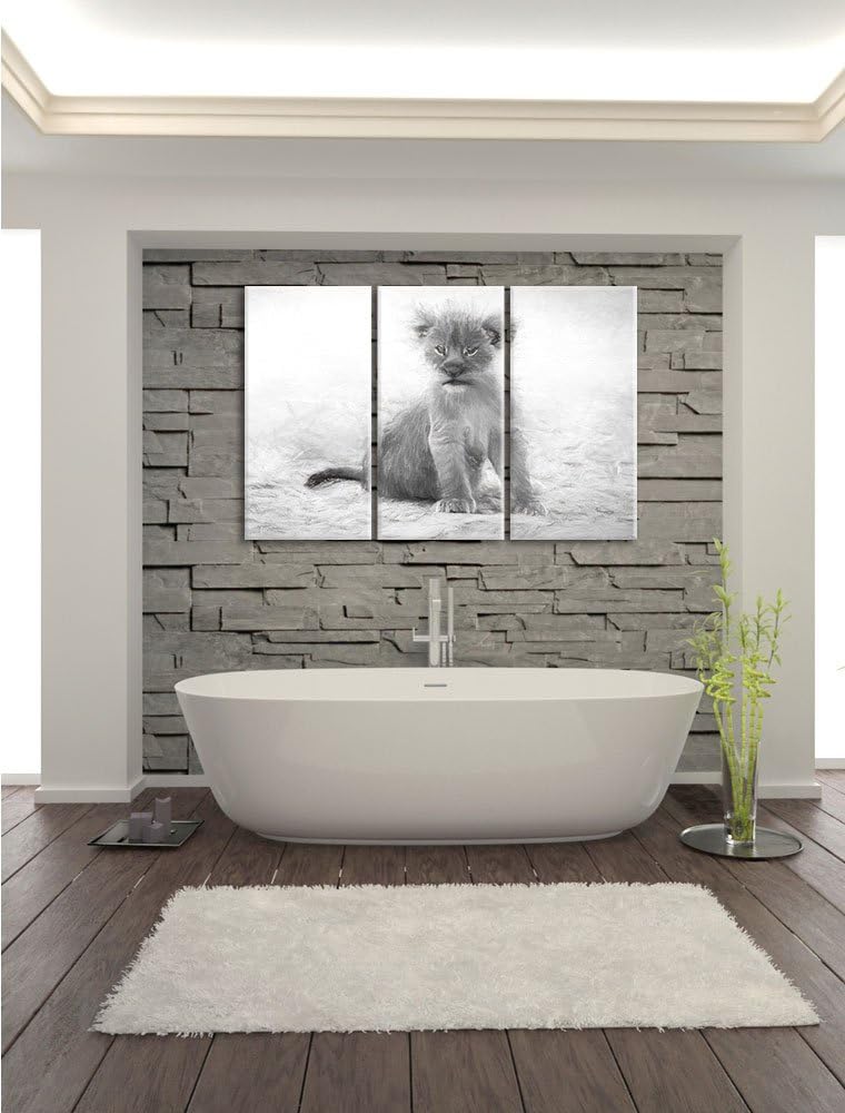 Pixxprint Verlassenes Löwenbaby als Leinwandbild/Grösse: 3 Teilig (120x80) cm/Wandbild/Kunstdruck/fe