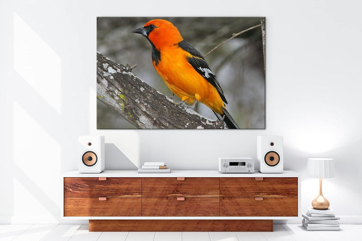 deyoli Anmutiger Vogel Format:90x60 cm als Leinwandbild, Motiv fertig gerahmt auf Echtholzrahmen, Ho