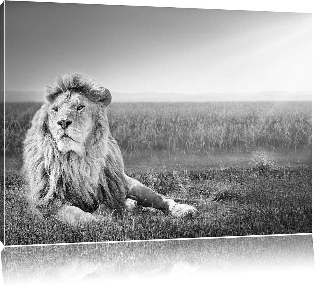 Pixxprint Majestätischer Löwe Kunst B&W als Leinwandbild/Grösse: 100x70 / Wandbild/Kunstdruck/fertig