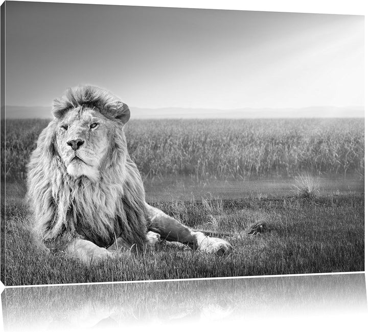 Pixxprint Majestätischer Löwe Kunst B&W als Leinwandbild/Grösse: 100x70 / Wandbild/Kunstdruck/fertig
