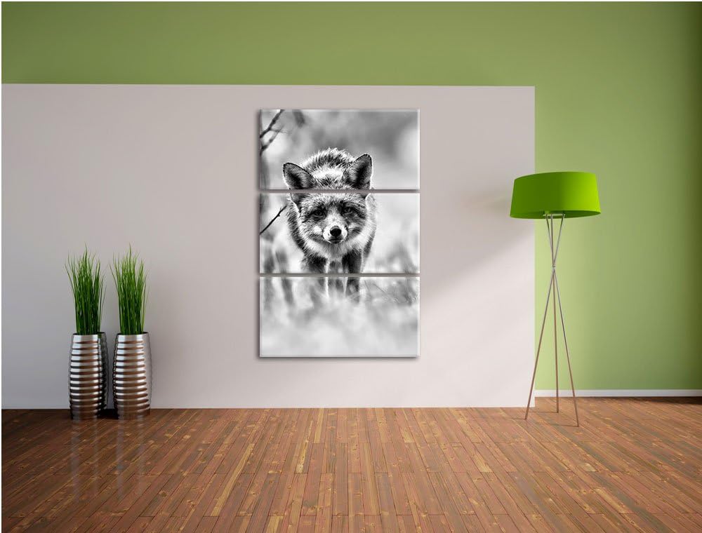 Pixxprint Schleichender Fuchs als Leinwandbild | Grösse: 3 Teilig (120x80) | Wandbild| Kunstdruck |