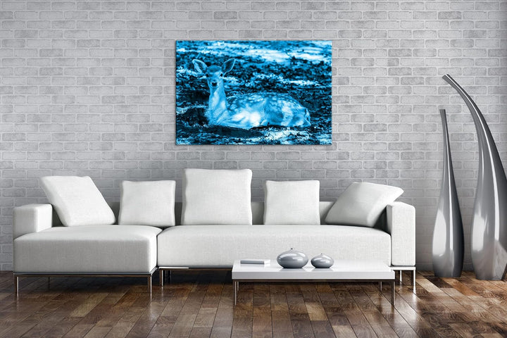 süsses Rehkitz in der Natur Format 80x60 Effekt: Monocrome Blau als Leinwandbild, Motiv fertig gerah
