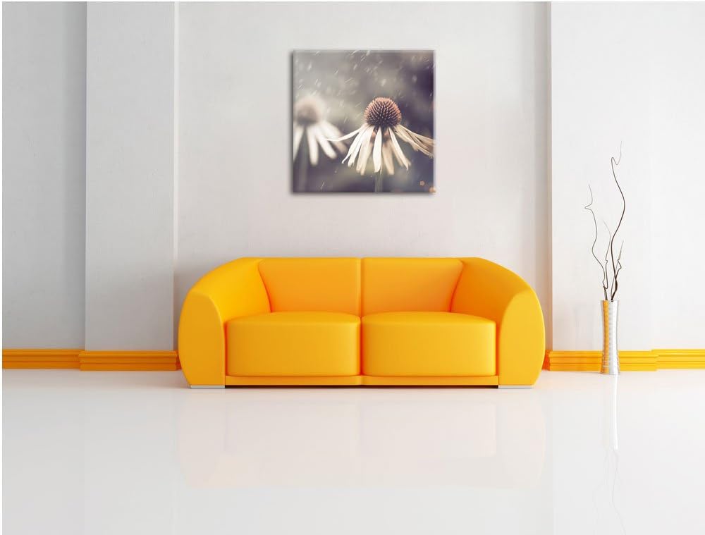 Pixxprint Blumen im Regen als Leinwandbild/Grösse: 70x70 cm/Wandbild/Kunstdruck/fertig bespannt, 70x