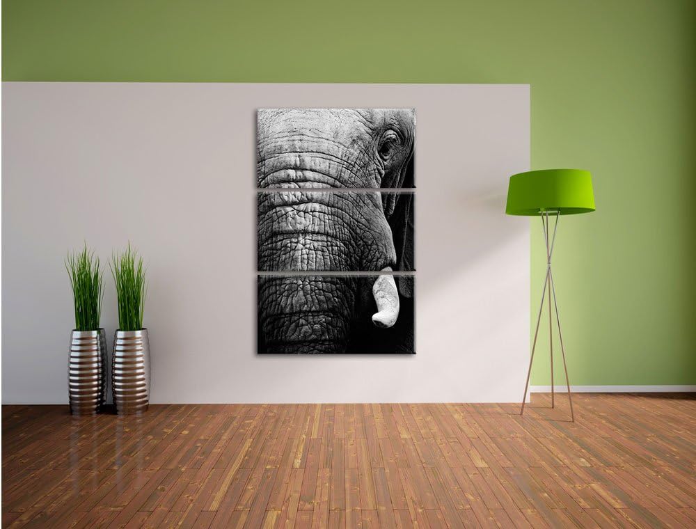 Pixxprint Elefant im Porträt als Leinwandbild/Grösse: 3 Teilig (120x80) cm/Wandbild/Kunstdruck/ferti