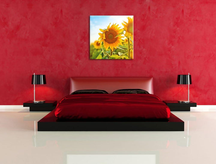 Pixxprint Strahlendes Sonnenblumenfeld, Format: 70x70 auf Leinwand, 70x70