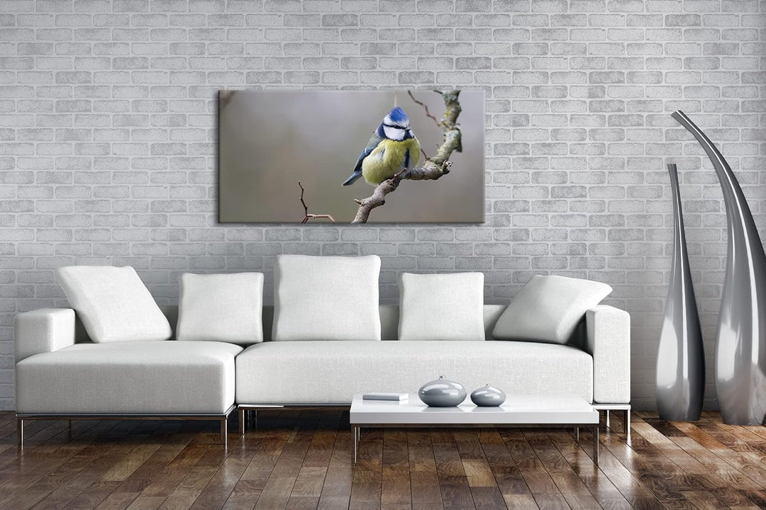 Kleiner Dicker Vogel Panorama 120x60 cm als Leinwandbild, Motiv fertig gerahmt auf Echtholzrahmen, H