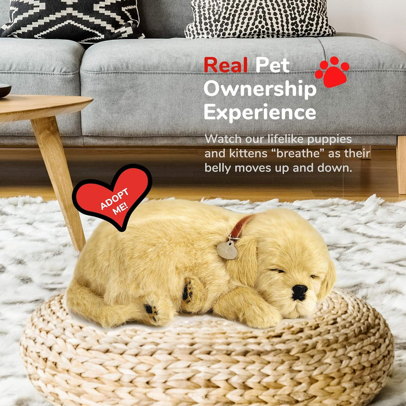 Perfect Petzzz - 4908 - Plüsch - Hund Golden Retriever