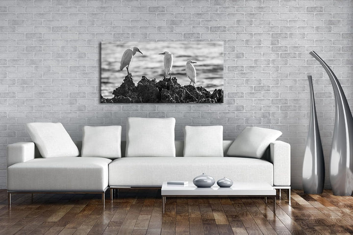Vögel des Meeres Panorama 60x30 cm Effekt: Schwarz/Weiss als Leinwandbild, Motiv fertig gerahmt auf