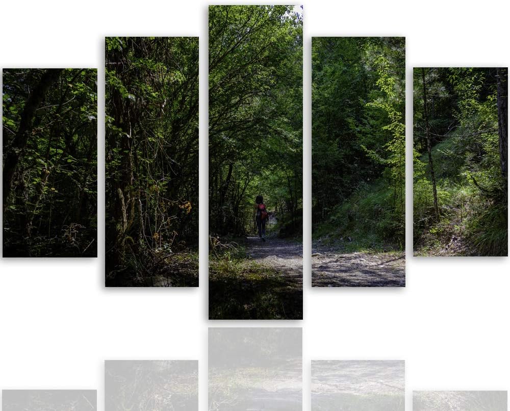 Feeby Wanddeko XXL Landschaft Leinwandbild 5 Teilig Natur Weg Bäume Wald grün 100x70 cm Leinwandbild