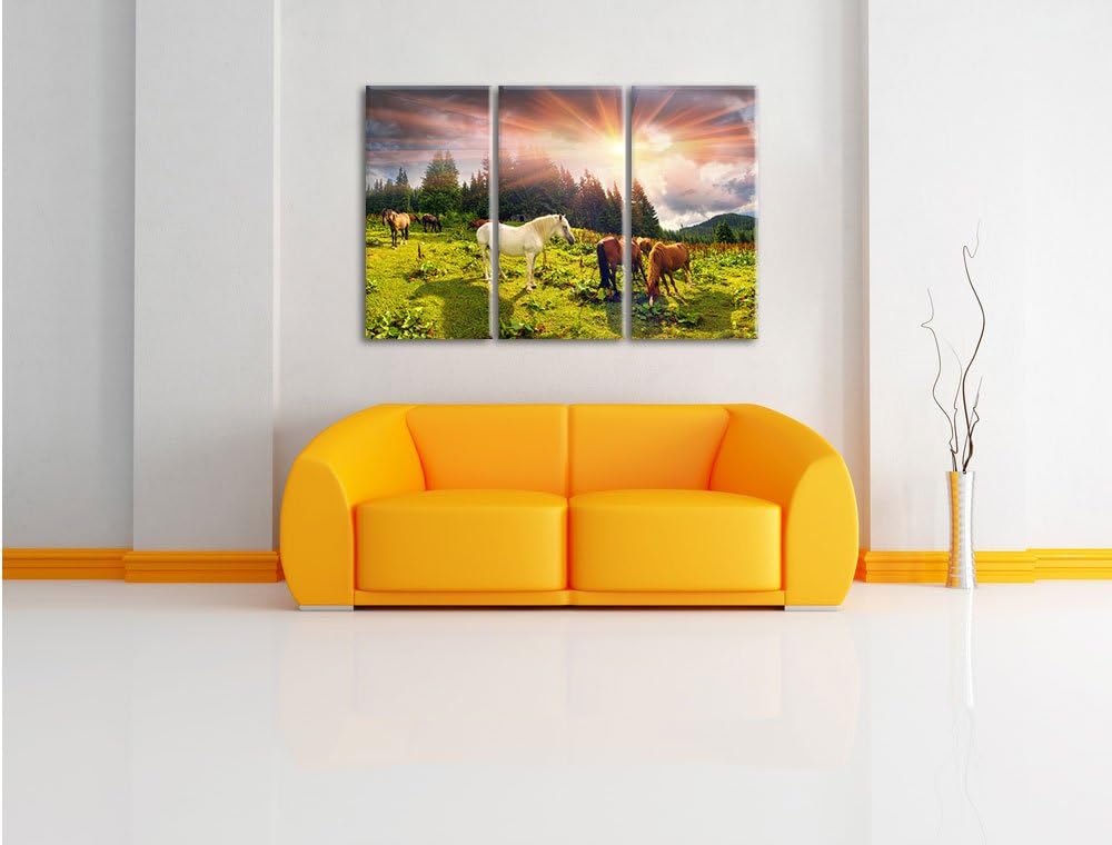 Pixxprint Carpathian Mustangs Pferde auf den Bergen 3-Teiler Leinwandbild 120x80 Bild auf Leinwand