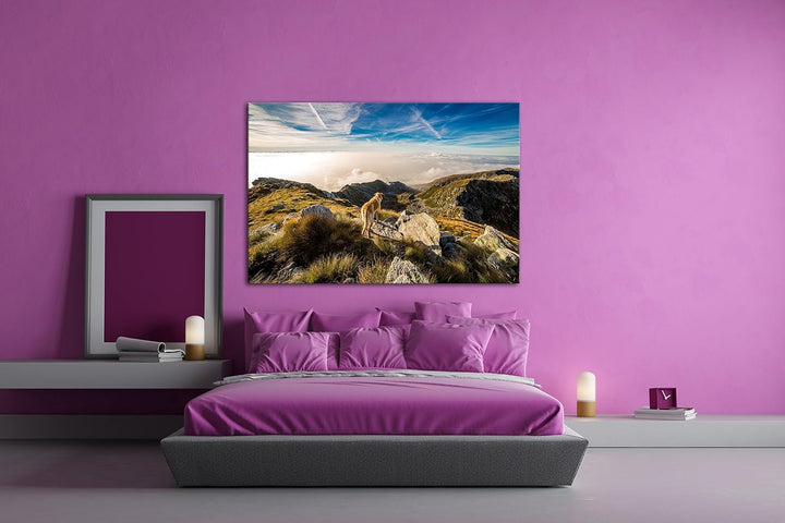 Hund auf einen Berg über den Wolken Format: 100x70 als Leinwand, Motiv fertig gerahmt auf Echtholzra