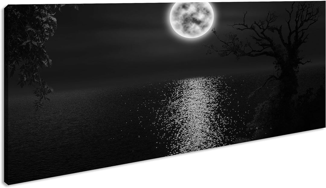Vollmondnacht am Meer Panorama 60x30 cm Effekt: Schwarz/Weiss als Leinwandbild, Motiv fertig gerahmt