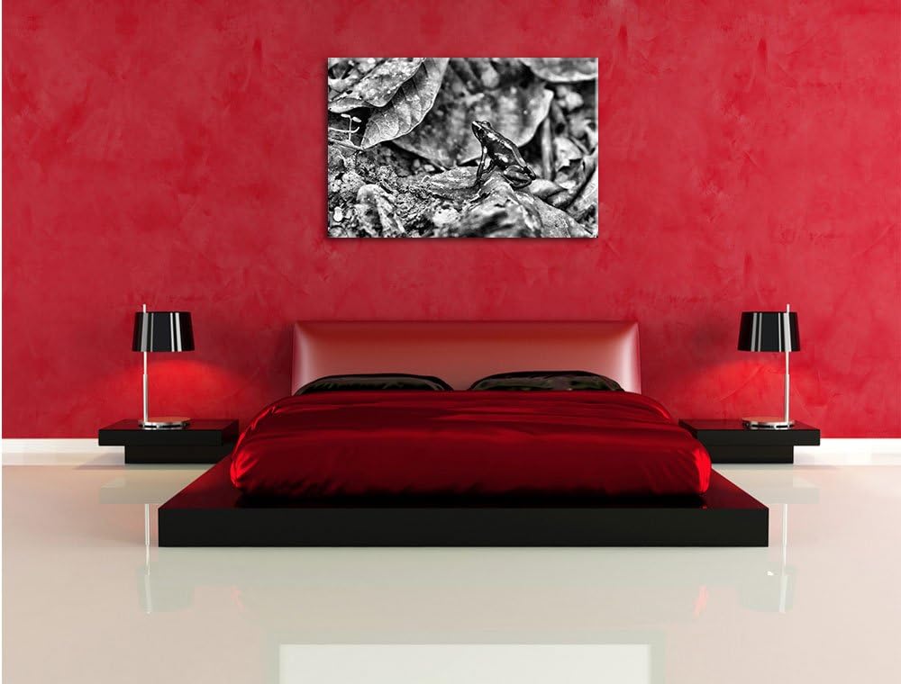 Pixxprint Baumsteiger Frosch als Leinwandbild/Grösse: 100x70 cm/Wandbild/Kunstdruck/fertig bespannt,