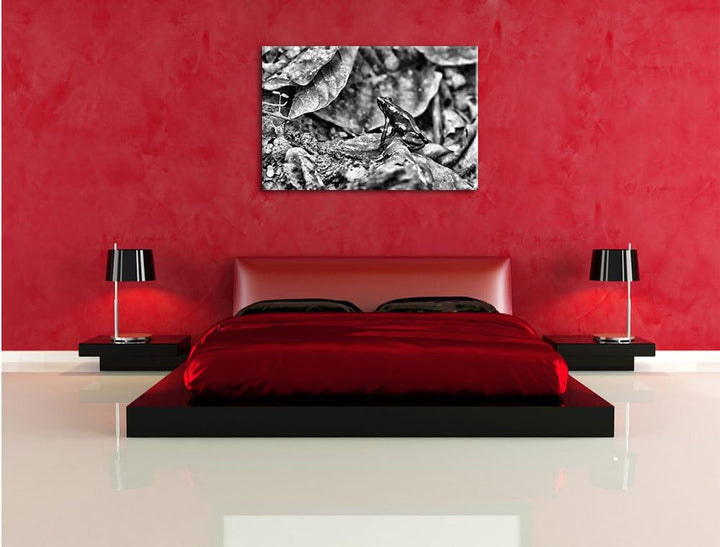 Pixxprint Baumsteiger Frosch als Leinwandbild/Grösse: 100x70 cm/Wandbild/Kunstdruck/fertig bespannt,