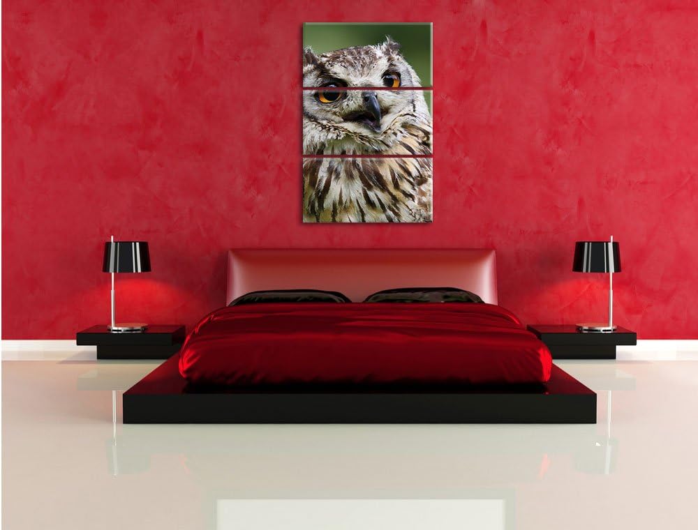 Pixxprint sehr müde Waldeule 3-Teiler Leinwandbild 120x80 Bild auf Leinwand