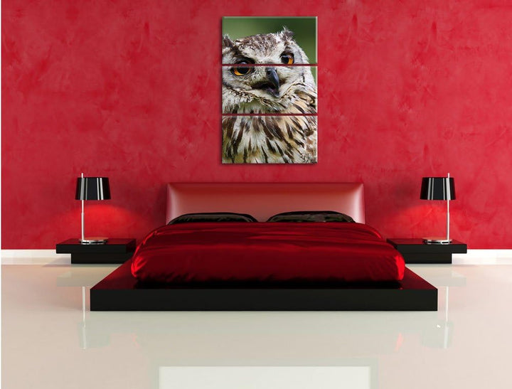 Pixxprint sehr müde Waldeule 3-Teiler Leinwandbild 120x80 Bild auf Leinwand