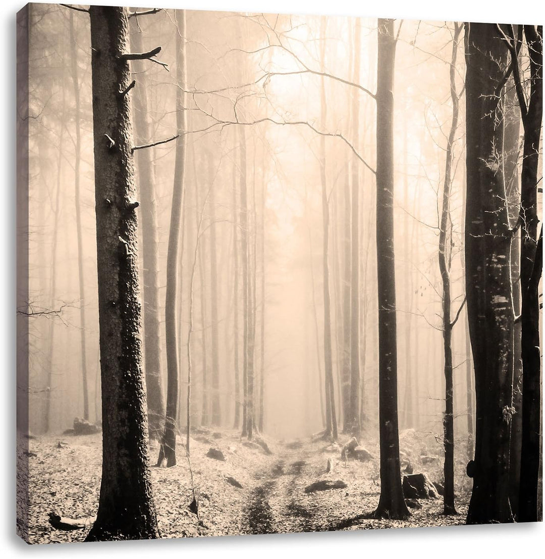 Pixxprint Mystischer Wald Schwarz/Weiss, Format: 70x70 auf Leinwand, 70x70