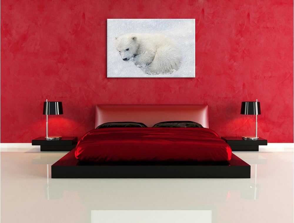 Pixxprint Süsser junger Eisbär im Schnee, Format: 100x70 auf Leinwand, 100x70