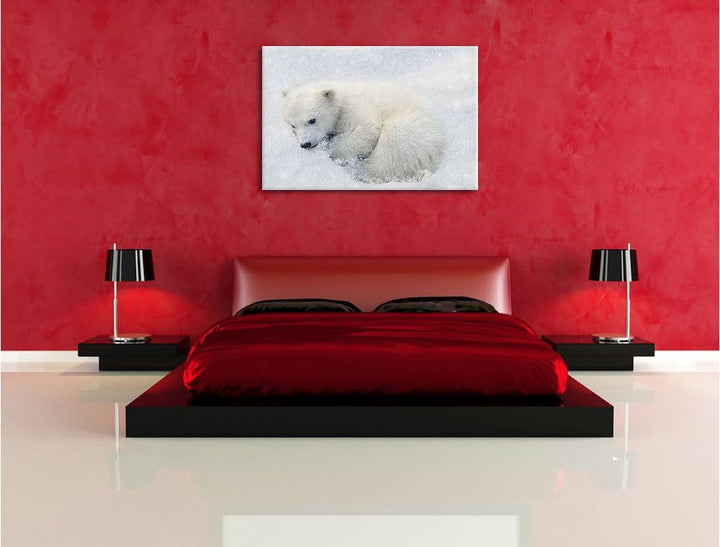 Pixxprint Süsser junger Eisbär im Schnee, Format: 100x70 auf Leinwand, 100x70