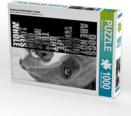 CALVENDO Puzzle American Staffordshire Terrier 1000 Teile Lege-Grösse 48 x 64 cm Foto-Puzzle Bild vo