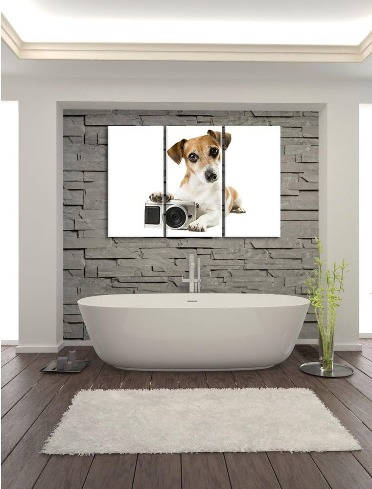 Pixxprint Niedlicher Hundewelpe mit Kamera 3-Teiler Leinwandbild 120x80 Bild auf Leinwand, riesige B