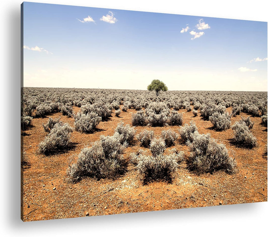 deyoli einsamer Baum in unfruchtbaren Wüste Format: 80x60 als Leinwandbild, Motiv fertig gerahmt auf