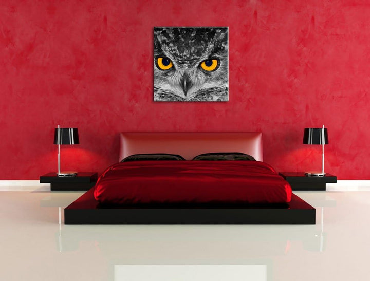 Pixxprint Eule mit Augen als Leinwandbild/Grösse: 70x70 cm/Wandbild/Kunstdruck/fertig bespannt, 70x7