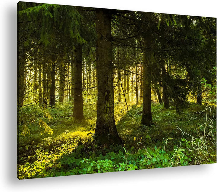 deyoli atemberaubende Waldlichtung Format: 80x60 als Leinwandbild, Motiv fertig gerahmt auf Echtholz